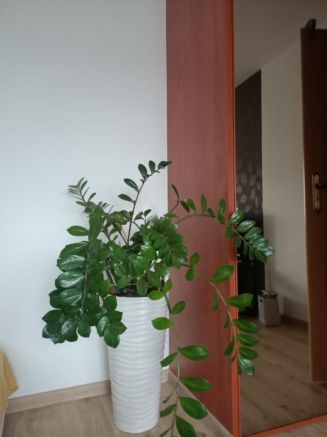 Pomaranczowa Apartment Szczecin Bagian luar foto