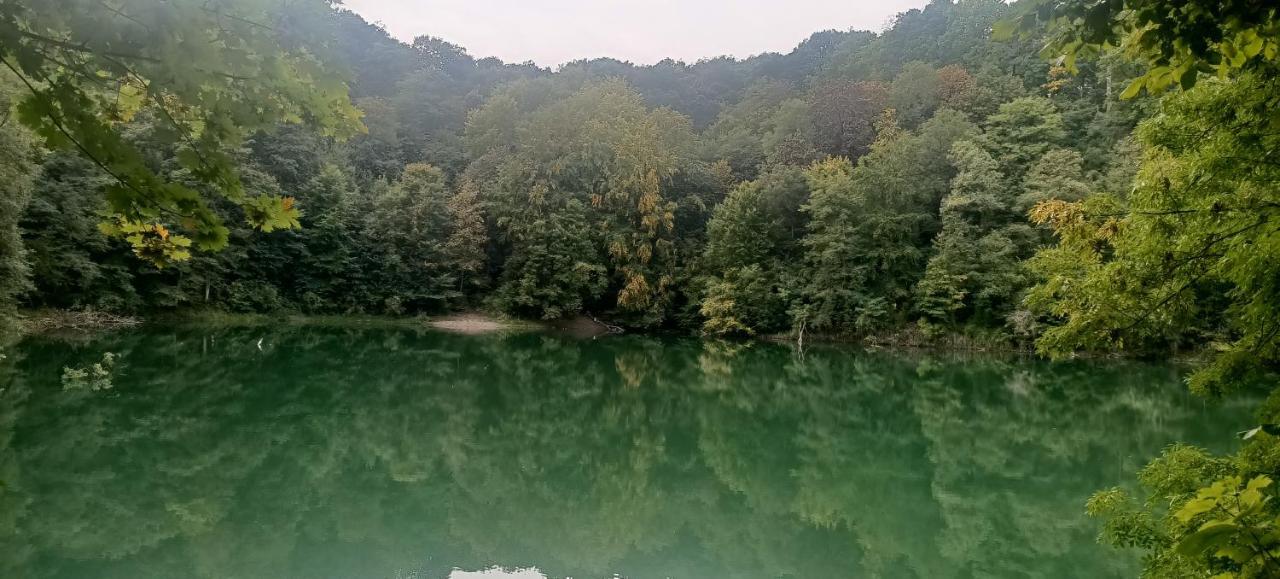 Pomaranczowa Apartment Szczecin Bagian luar foto